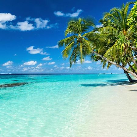 Equa Reef Maldives Ξενοδοχείο Addu City Εξωτερικό φωτογραφία
