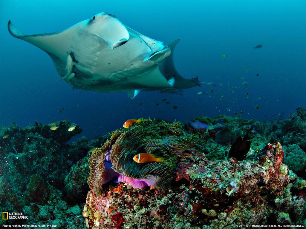 Equa Reef Maldives Ξενοδοχείο Addu City Εξωτερικό φωτογραφία