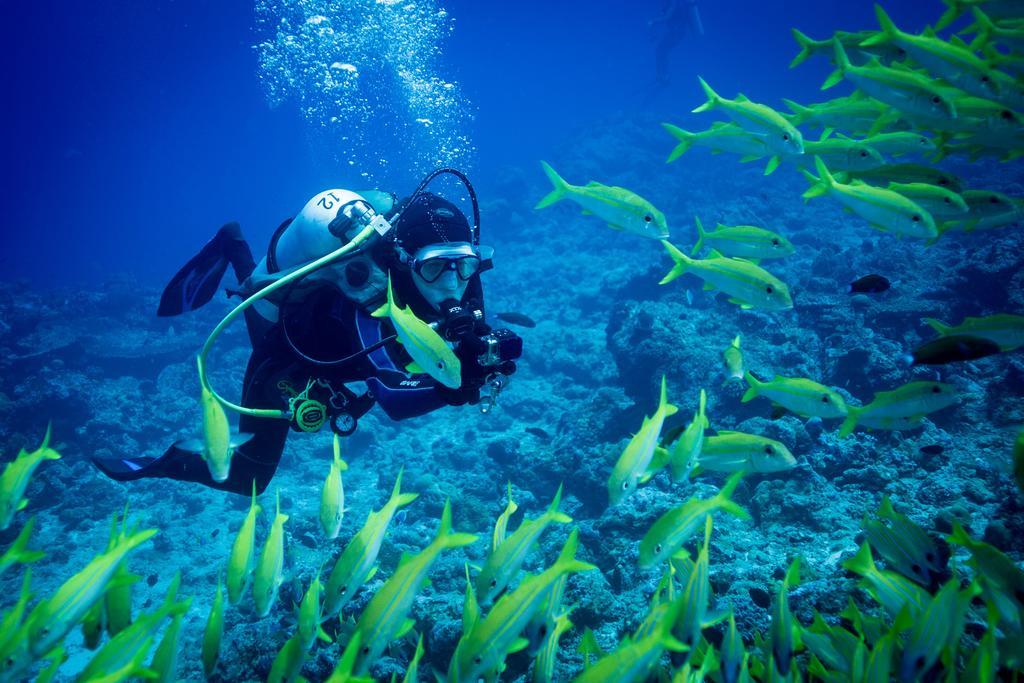Equa Reef Maldives Ξενοδοχείο Addu City Εξωτερικό φωτογραφία