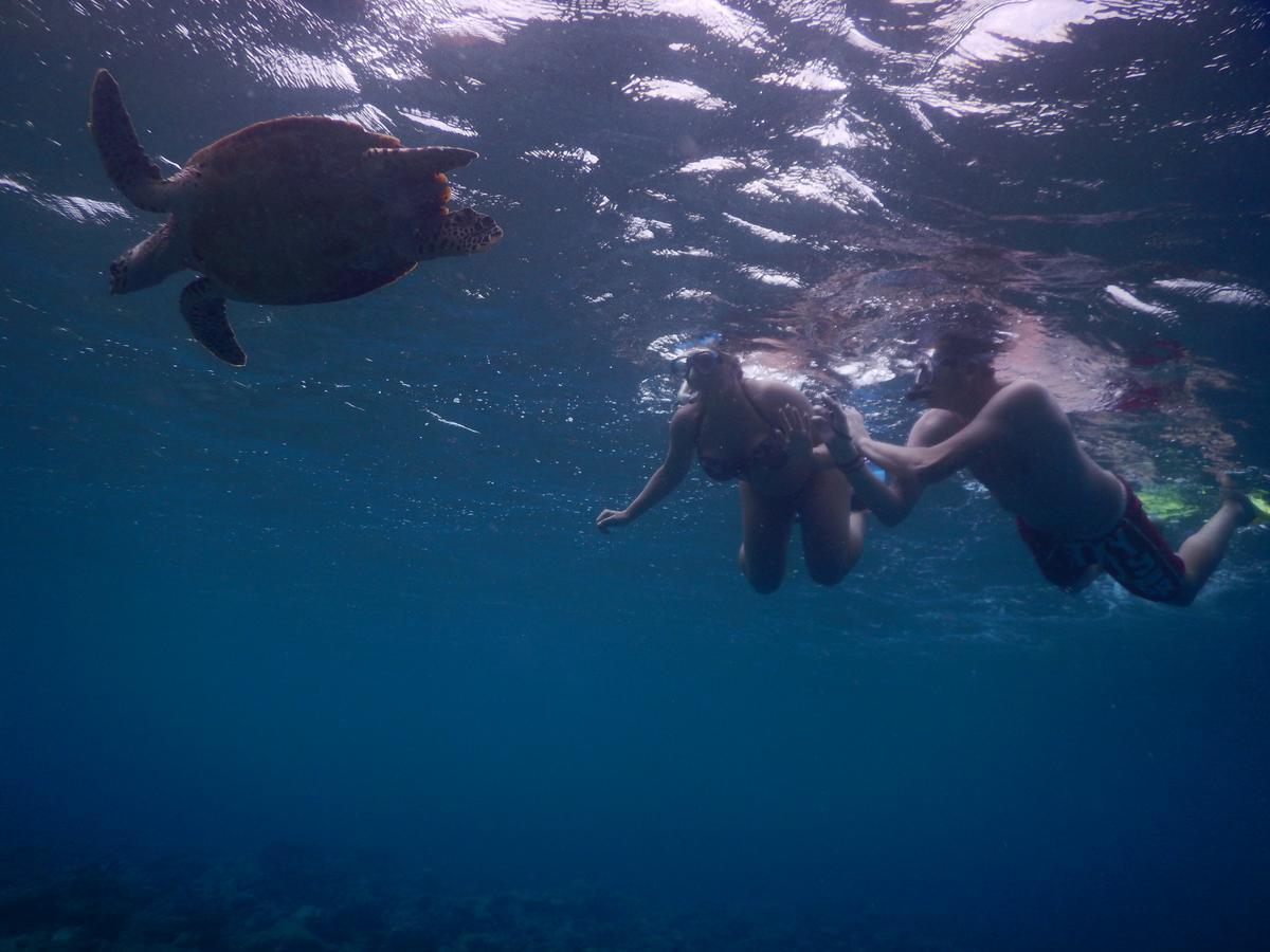 Equa Reef Maldives Ξενοδοχείο Addu City Εξωτερικό φωτογραφία