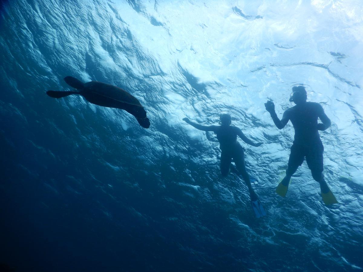 Equa Reef Maldives Ξενοδοχείο Addu City Εξωτερικό φωτογραφία