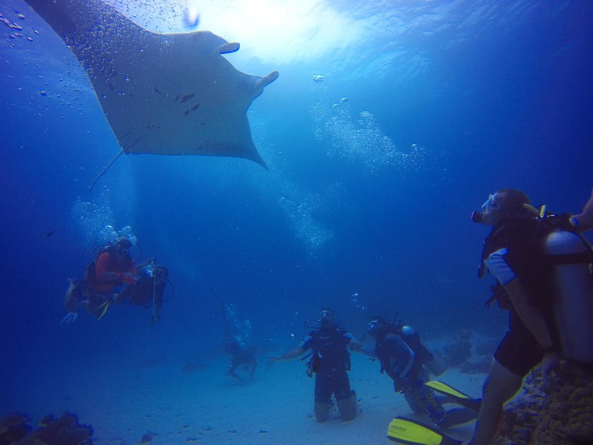 Equa Reef Maldives Ξενοδοχείο Addu City Εξωτερικό φωτογραφία