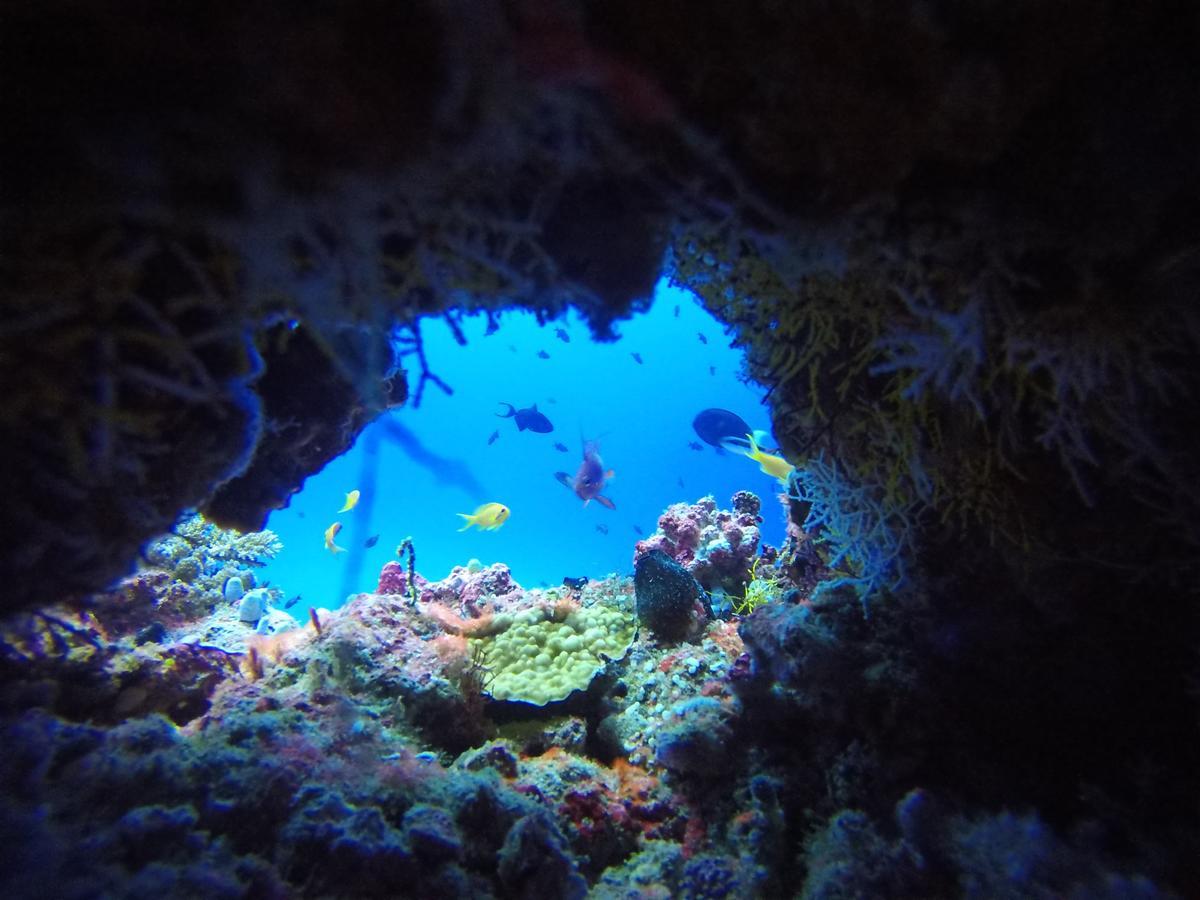 Equa Reef Maldives Ξενοδοχείο Addu City Εξωτερικό φωτογραφία