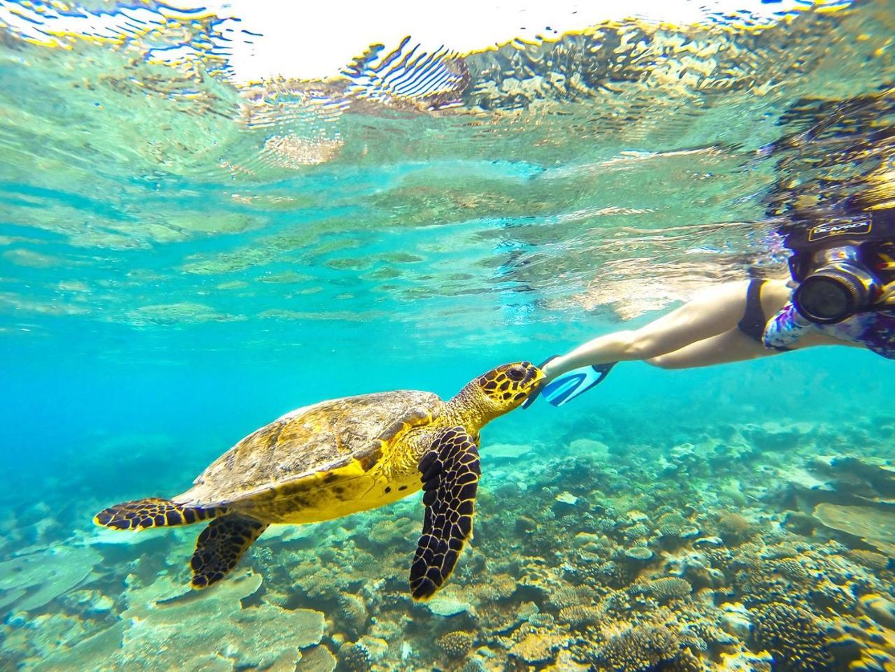 Equa Reef Maldives Ξενοδοχείο Addu City Εξωτερικό φωτογραφία