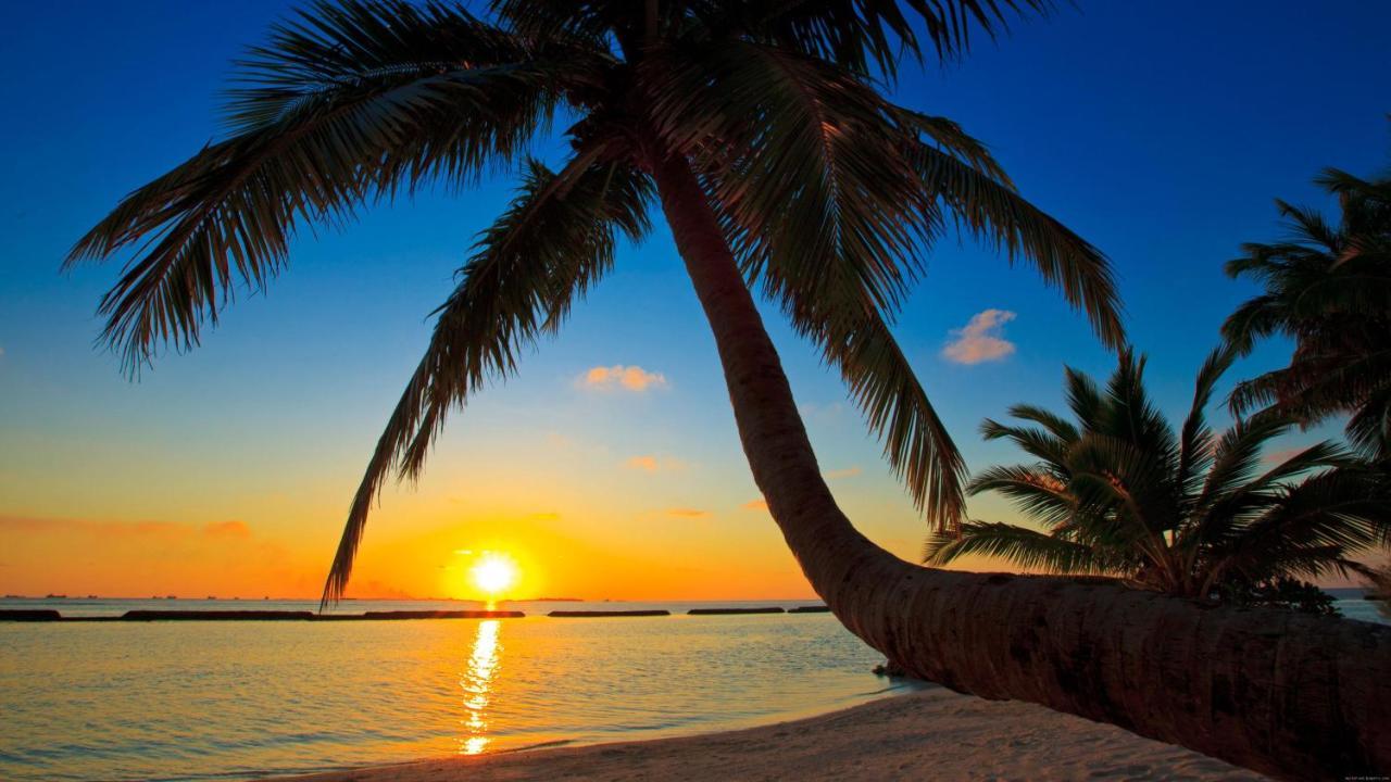 Equa Reef Maldives Ξενοδοχείο Addu City Εξωτερικό φωτογραφία