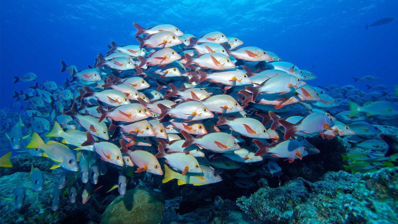 Equa Reef Maldives Ξενοδοχείο Addu City Εξωτερικό φωτογραφία