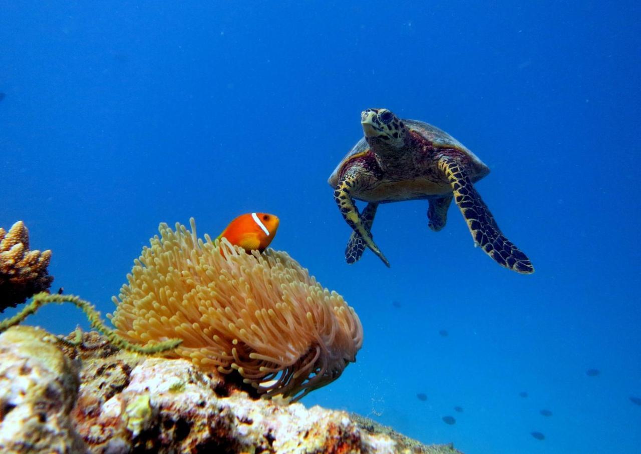 Equa Reef Maldives Ξενοδοχείο Addu City Εξωτερικό φωτογραφία