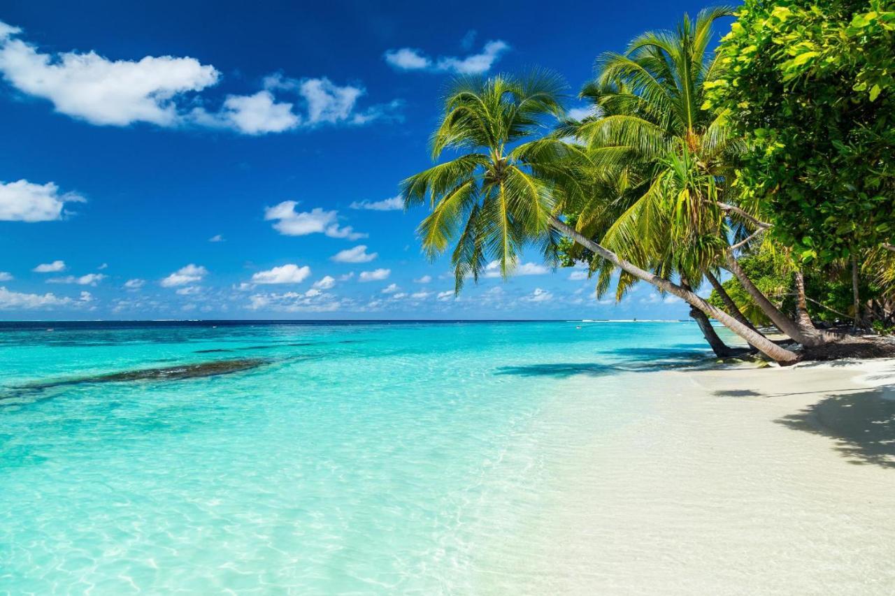 Equa Reef Maldives Ξενοδοχείο Addu City Εξωτερικό φωτογραφία